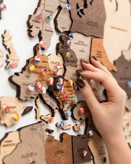 3D Wooden World Map with Push Pins